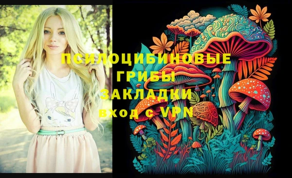 стаф Абдулино