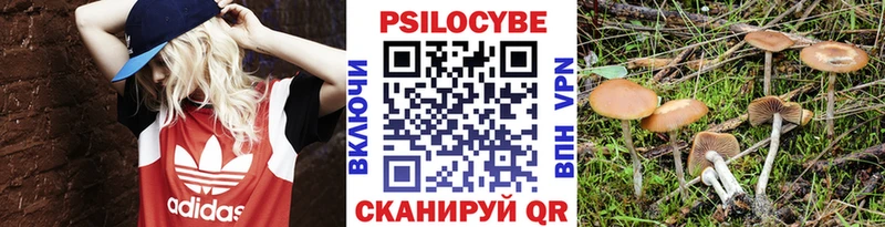Галлюциногенные грибы прущие грибы  купить наркоту  Североморск 