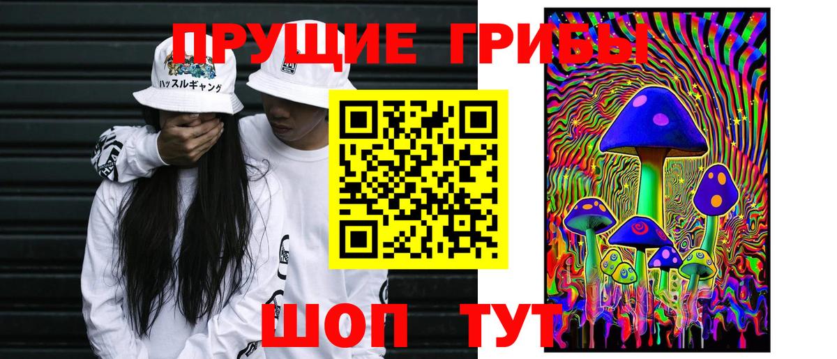 Североморск  где найти   Вход с VPN  Галлюциногенные грибы Psilocybine cubensis 